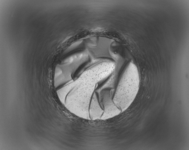 X0000080711301200701121807