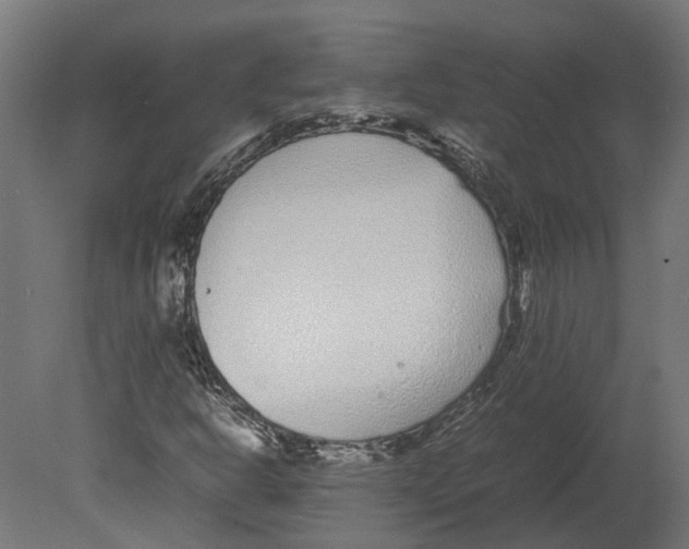 X0000080711302200701121807