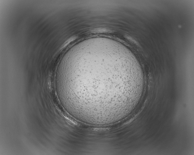 X0000080711305200701121807