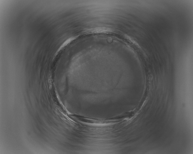 X0000080711306200701121807