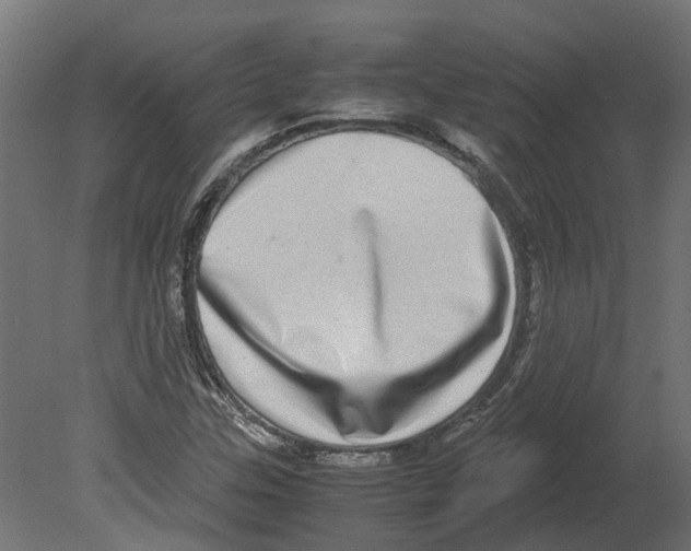 X0000080711307200701121807