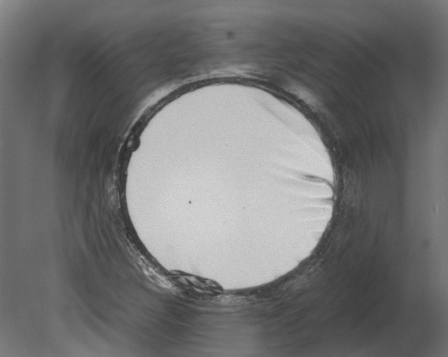 X0000080711308200701121807