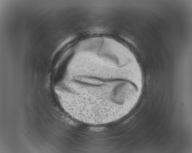 X0000080711309200701121807