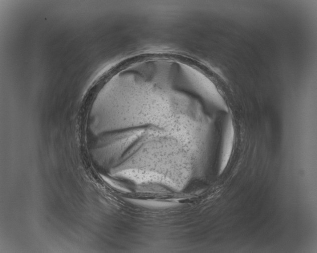 X0000080711311200701121807