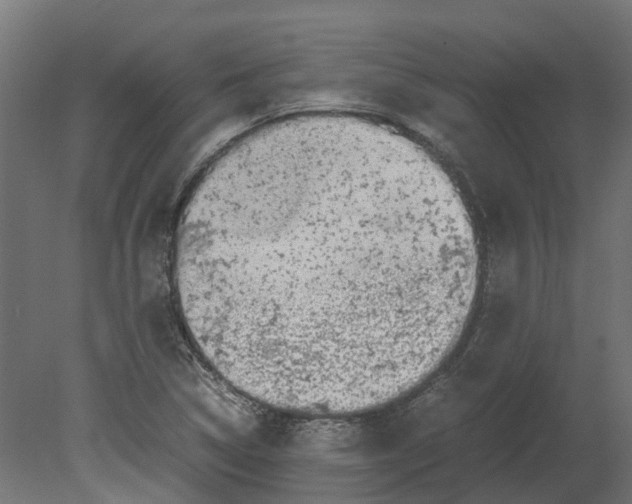 X0000080711314200701121807