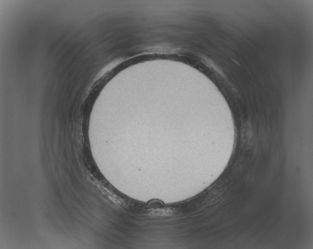 X0000080711315200701121807