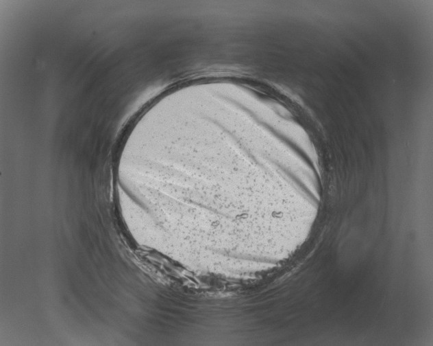 X0000080711317200701121807