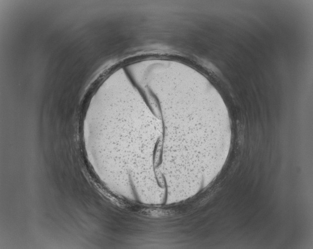 X0000080711318200701121807