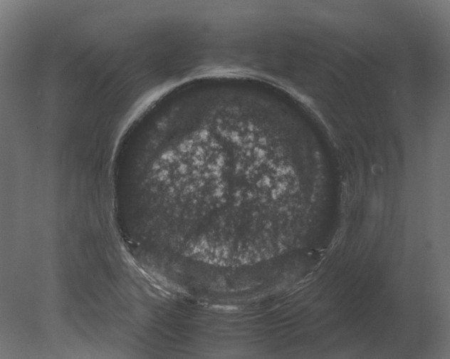 X0000080711319200701121807