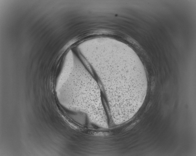 X0000080711321200701121807