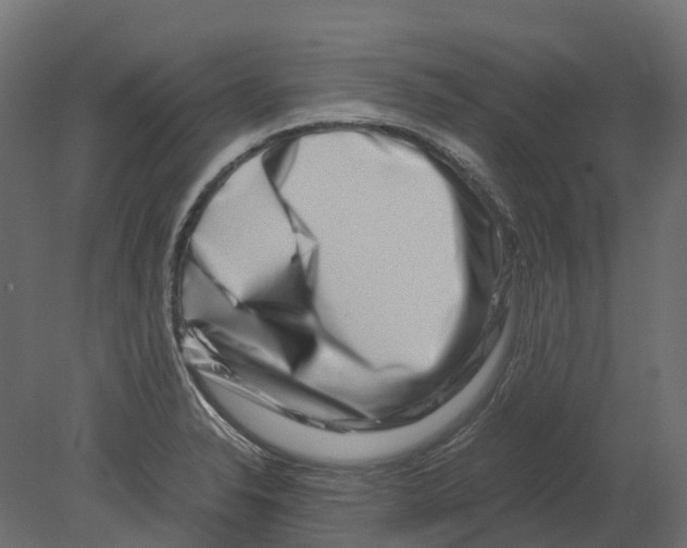 X0000080711326200701121807