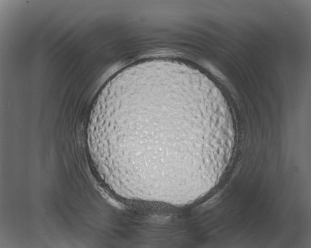 X0000080711329200701121807