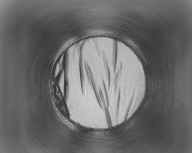 X0000080711330200701121807