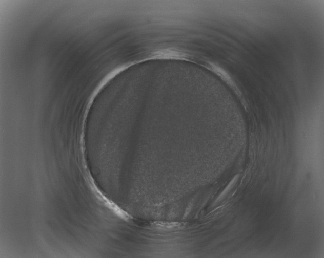 X0000080711331200701121807