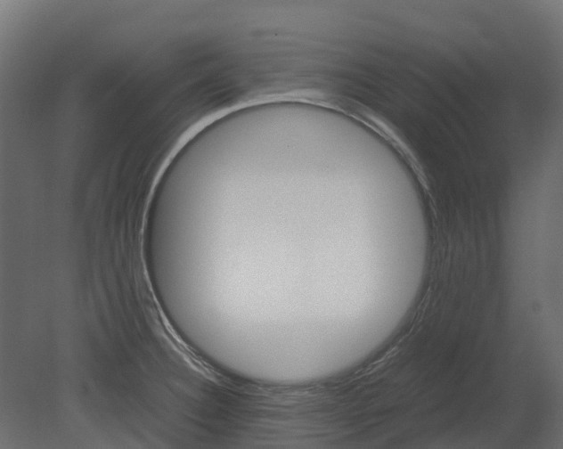 X0000080711332200701121807