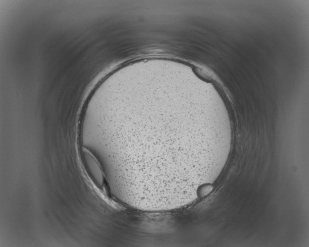 X0000080711333200701121807