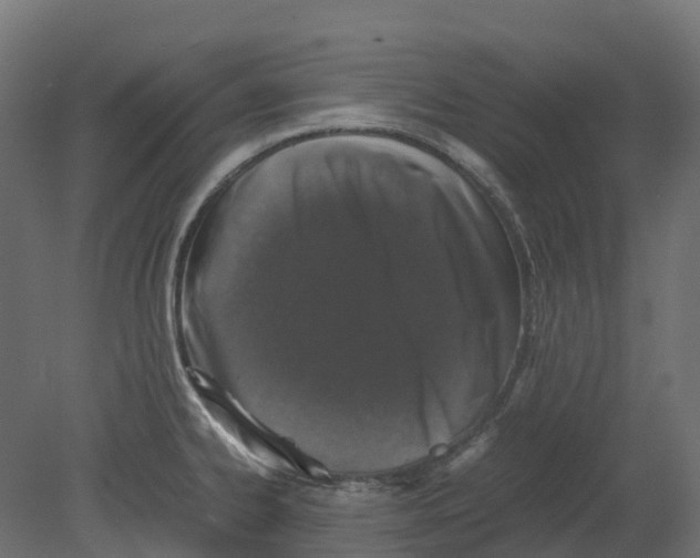 X0000080711334200701121807