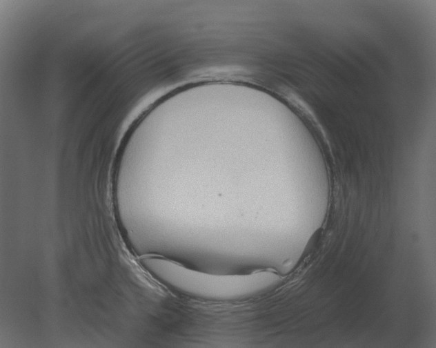 X0000080711336200701121807