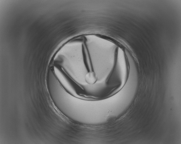 X0000080711340200701121807