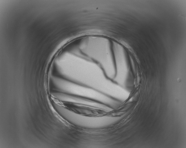 X0000080711342200701121807