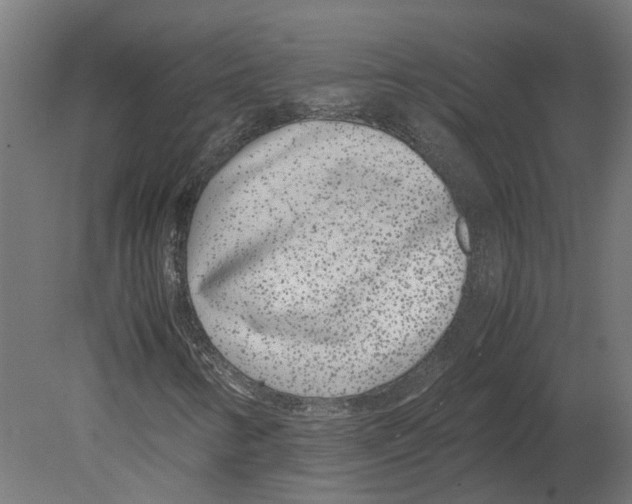 X0000080711346200701121807