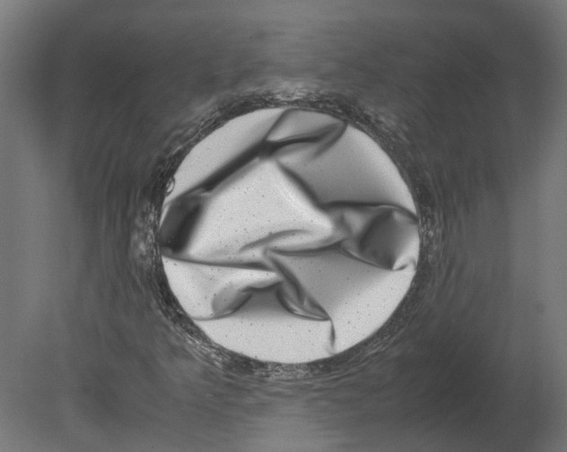 X0000080711349200701121807