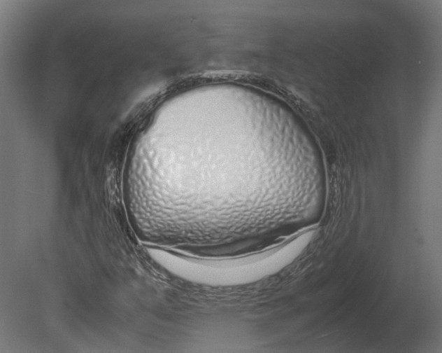 X0000080711351200701121807