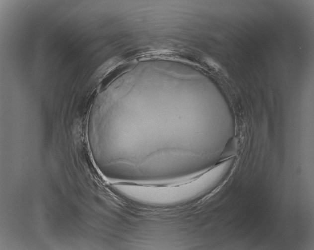 X0000080711353200701121806