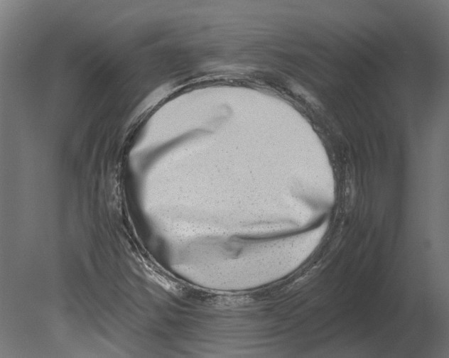 X0000080711354200701121806