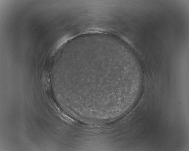 X0000080711355200701121806