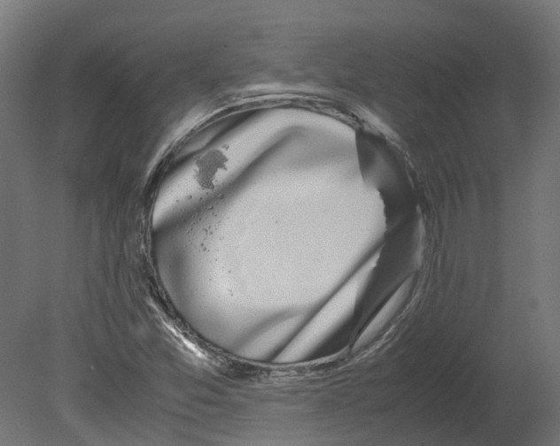 X0000080711357200701121806