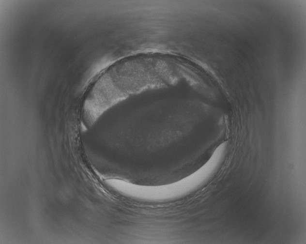 X0000080711359200701121806