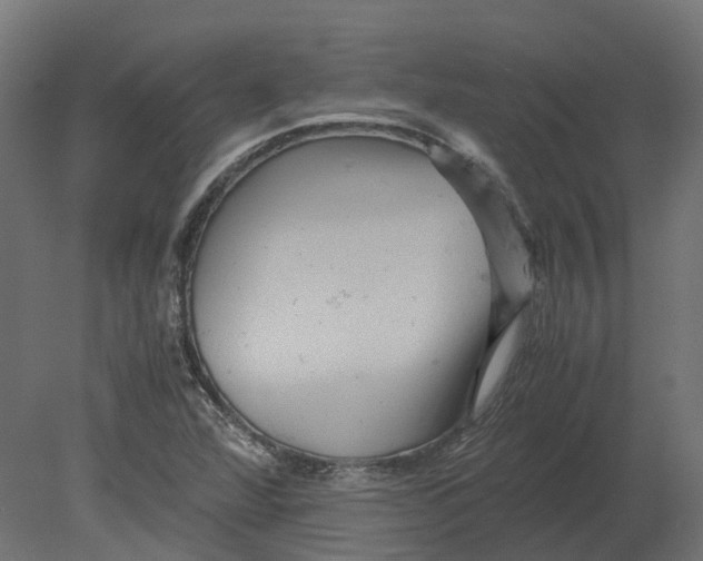 X0000080711360200701121806