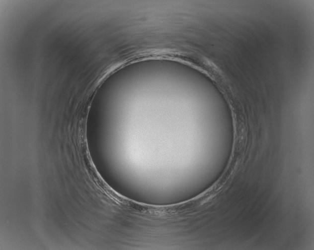 X0000080711361200701121806