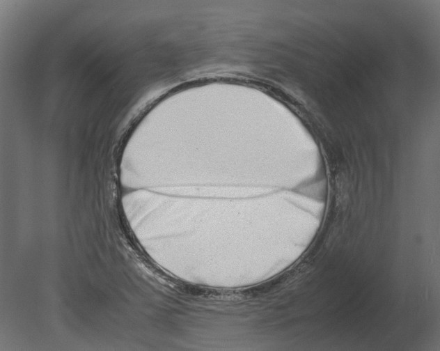 X0000080711363200701121806