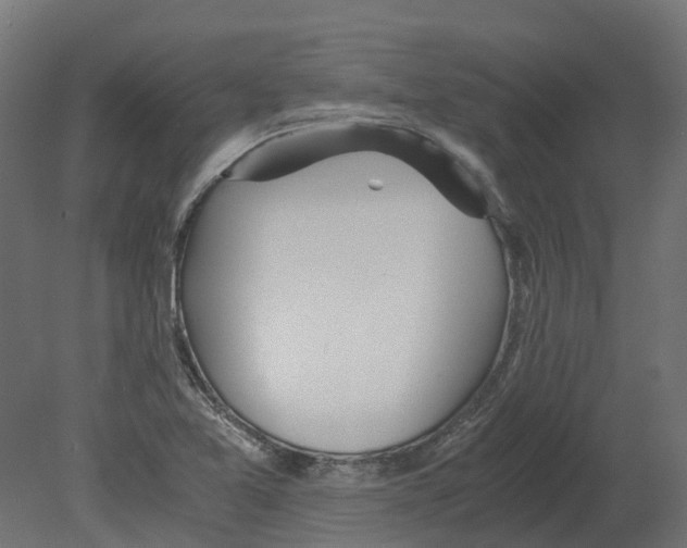 X0000080711365200701121806