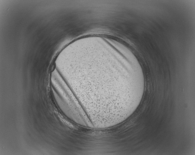 X0000080711366200701121806