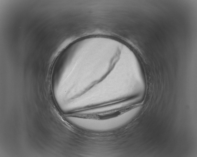 X0000080711367200701121806