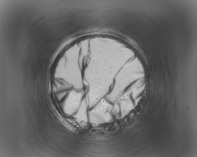 X0000080711368200701121806