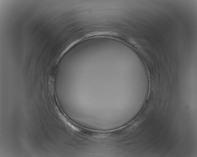 X0000080711369200701121806