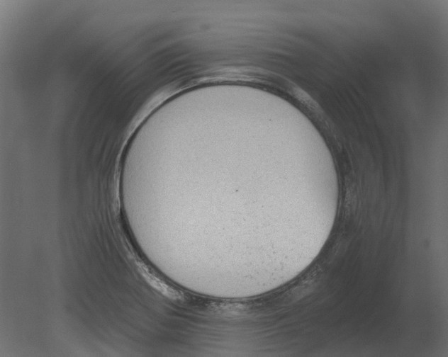 X0000080711370200701121806