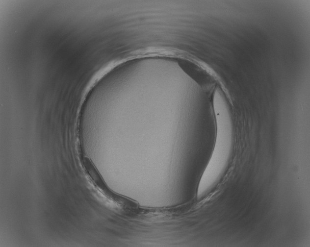 X0000080711373200701121806