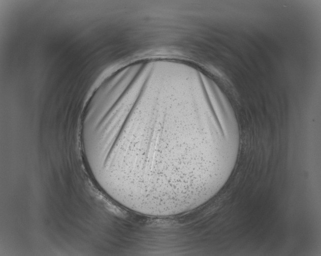 X0000080711374200701121806