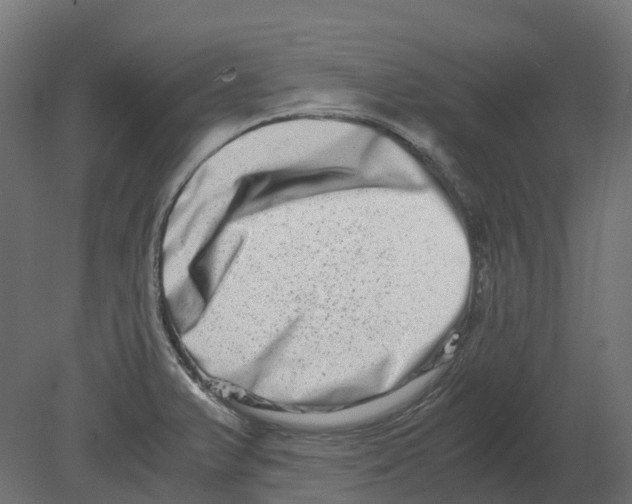 X0000080711375200701121806