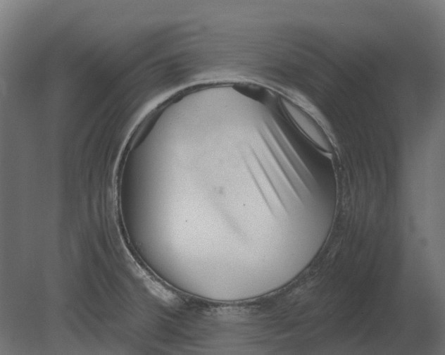 X0000080711380200701121806