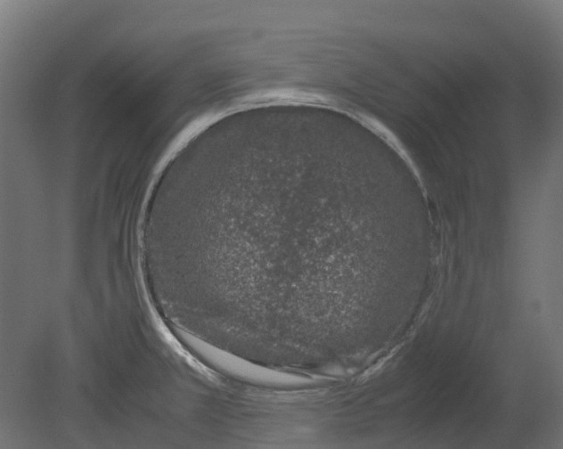 X0000080711381200701121806