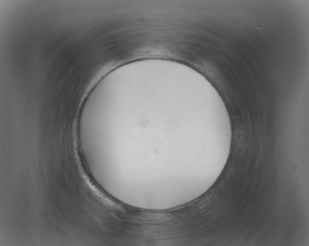 X0000080711382200701121806