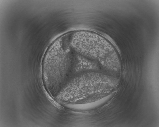 X0000080711388200701121806