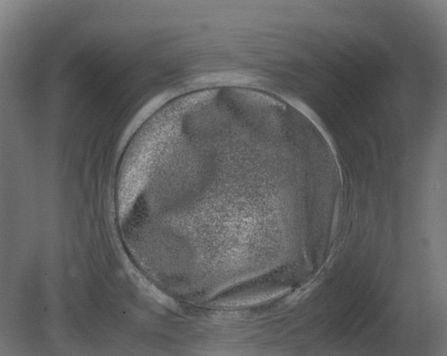 X0000080711389200701121806