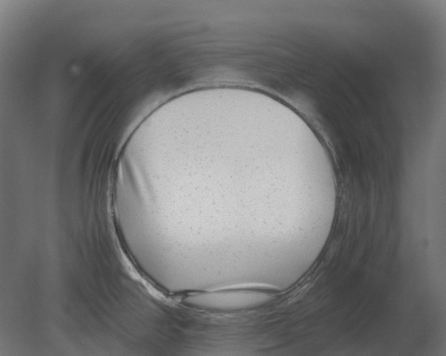 X0000080711390200701121806